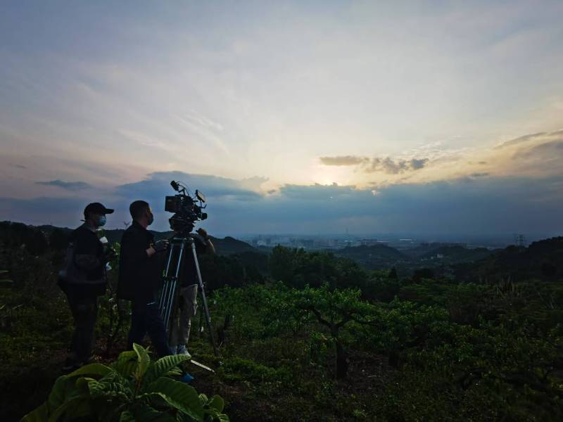 聚焦蒙城县产品宣传视频拍摄公司，用专业实力铸就品牌传播传奇