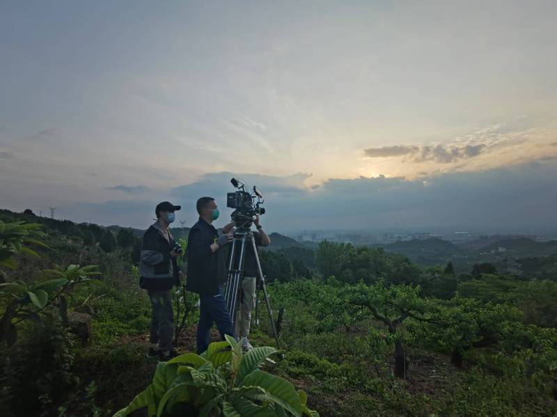 创意破圈！蒙城县电商产品宣传视频用故事化叙事引爆流量