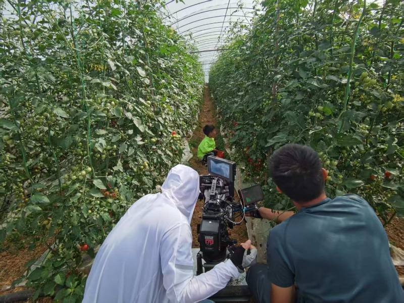 蒙城县产品宣传视频拍摄公司进阶指南，助力品牌抢占传播高地